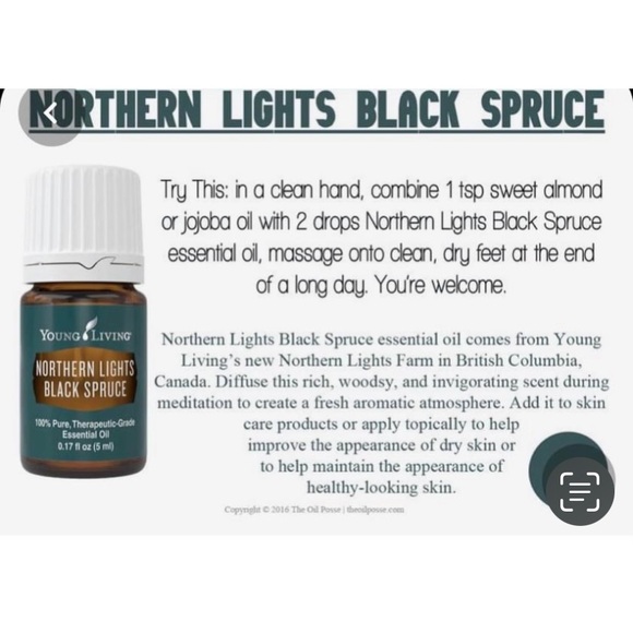 Young Living Northern Lights Black Spruce Essential Oil - Picture 4 of 6